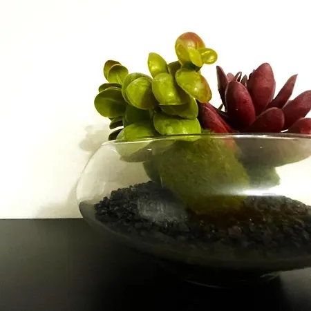 Appartement Bohemian Mountain Oasis With Air Conditioning