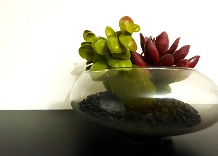 Apartment Bohemian Mountain Oasis With Air Conditioning